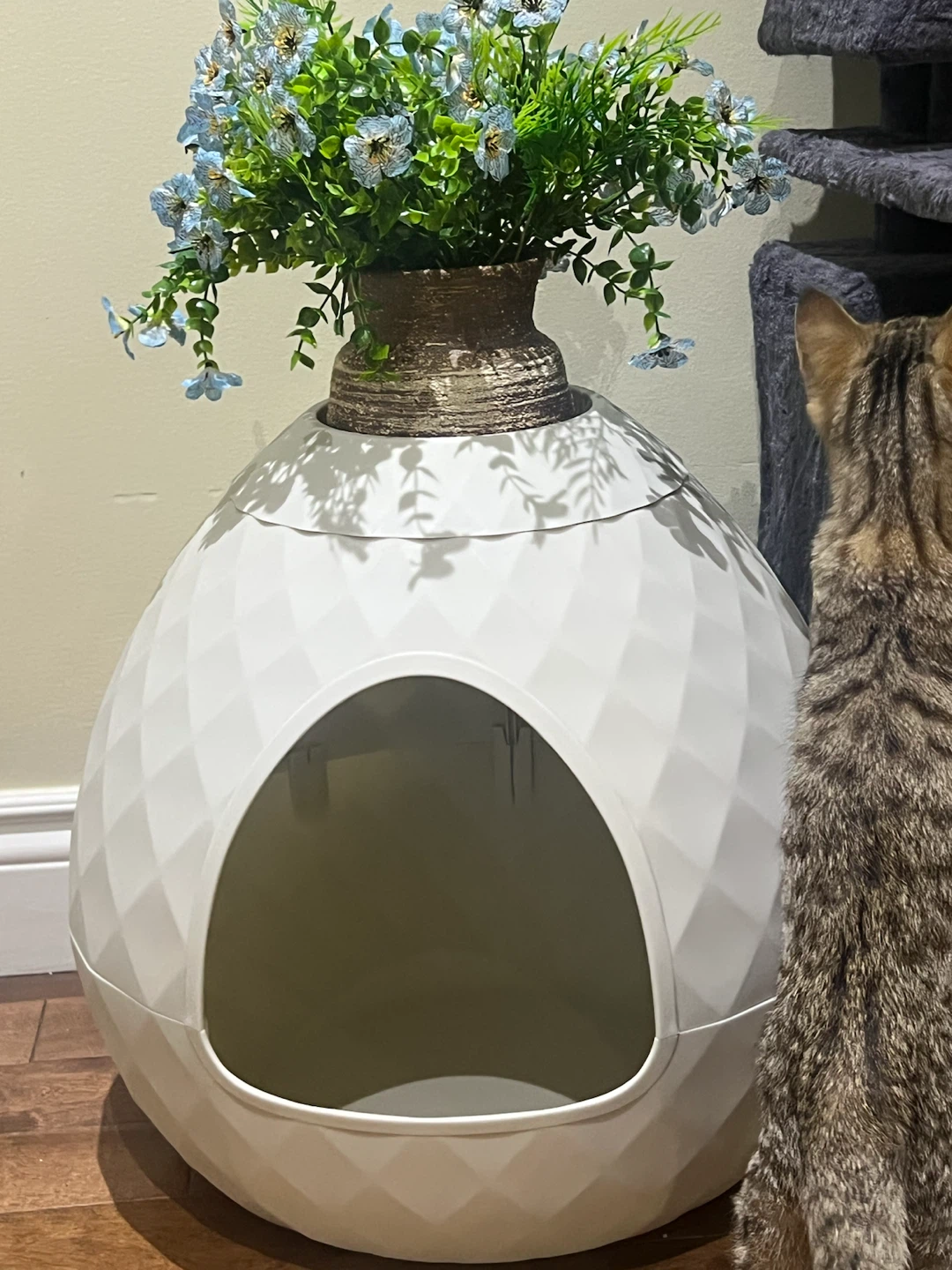 Cat Litter Box Enclosure Wrought Studio Hidden