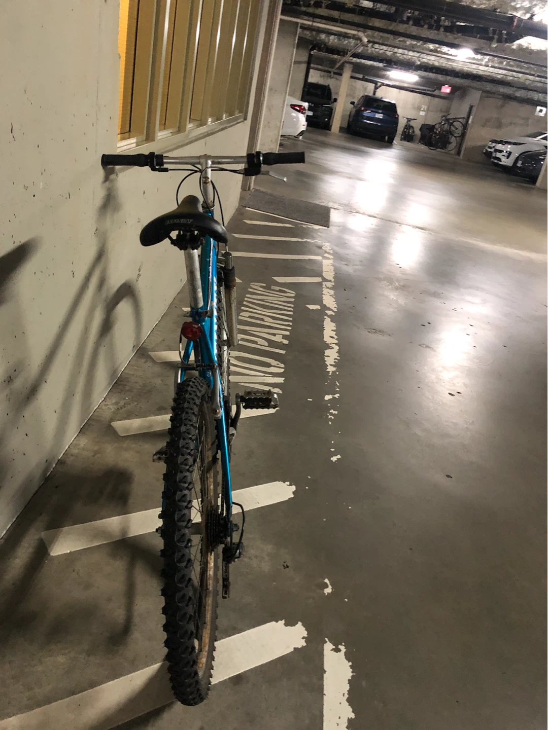 Blue Infinity "Telluride" Mountain Bike