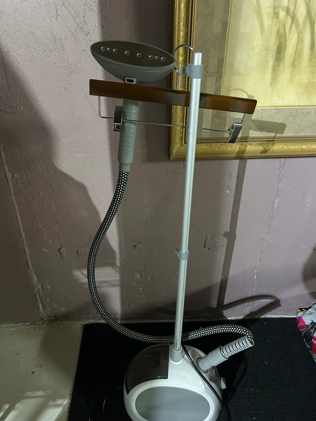 Garment Steamer