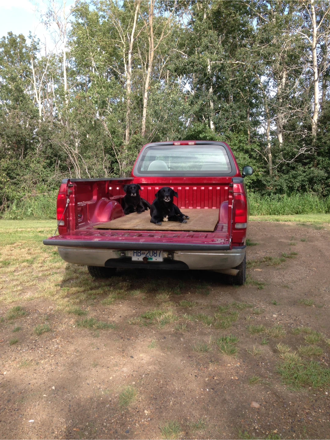 1999 Ford F150,long box V8 Triton, single cab