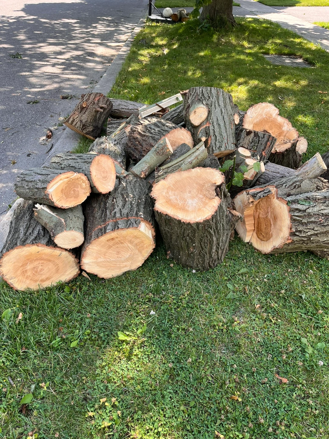Firewood logs