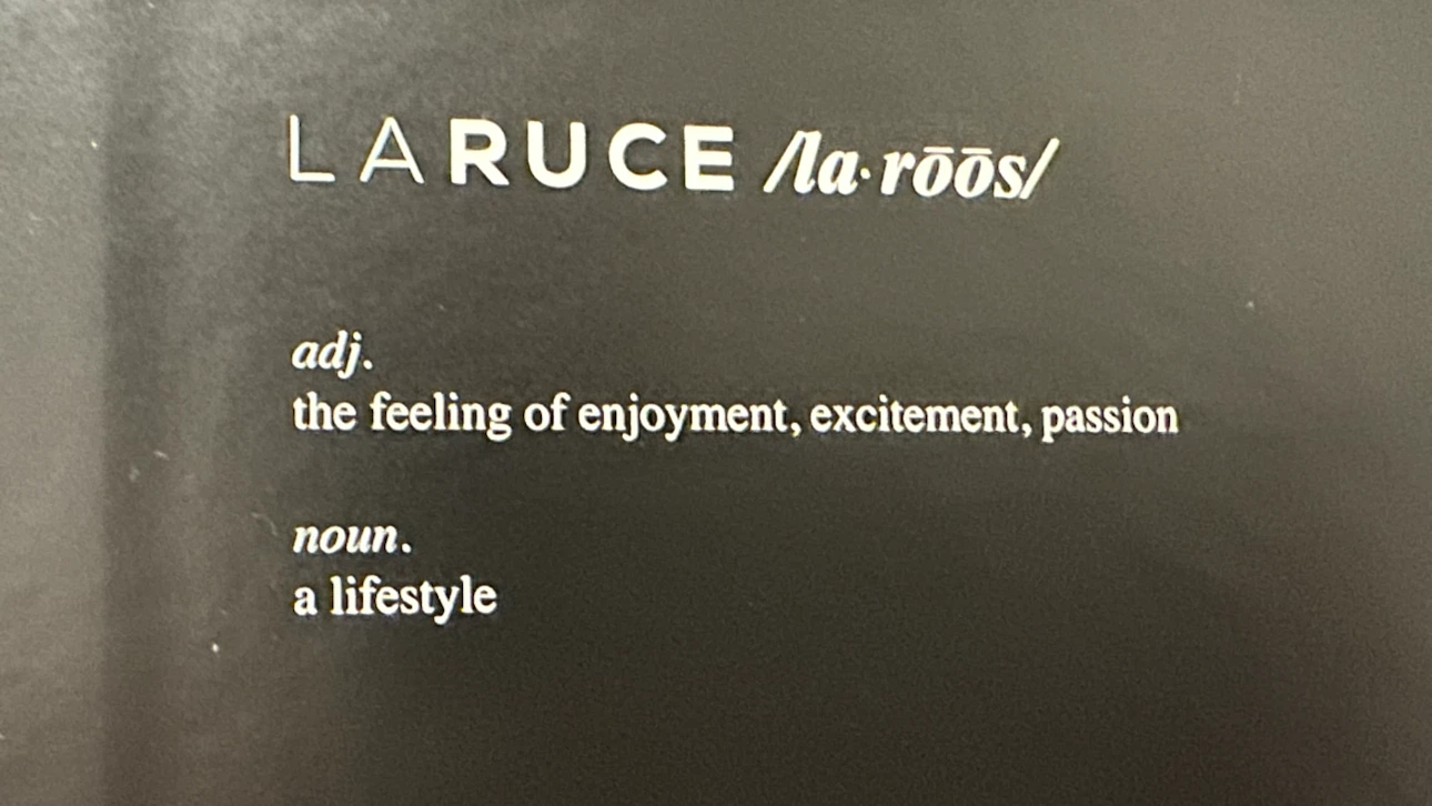 LARUCE Pro Series Makeup Brush Set - photo 3