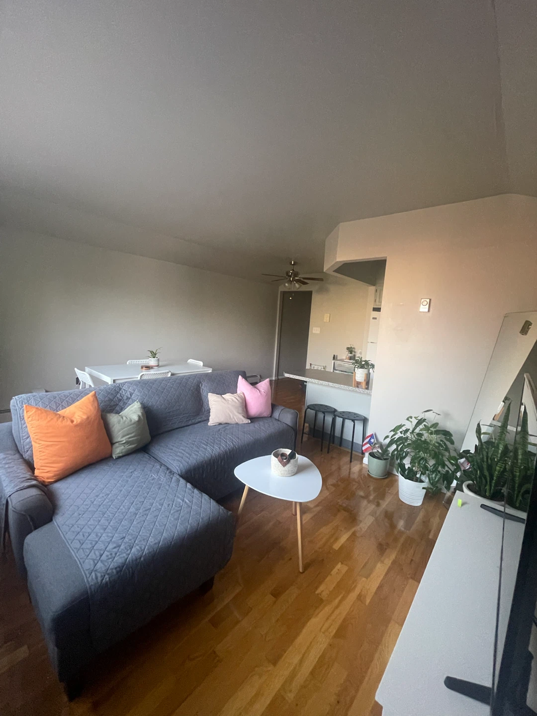 Dark Grey Sectional Sofa with Chaise