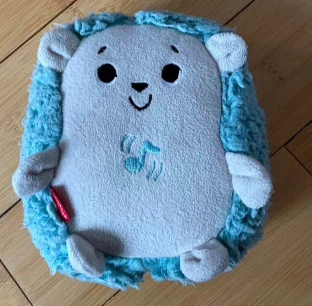 Plush Hedgehog Musical Toy