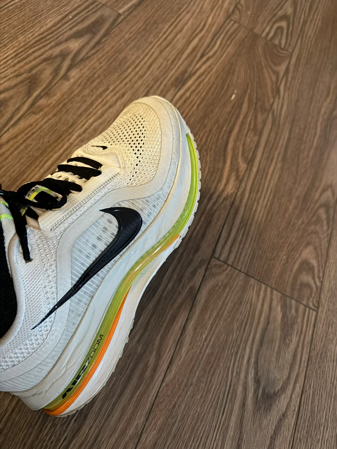Nike Pegasus Premium Men’s 10 - photo 2