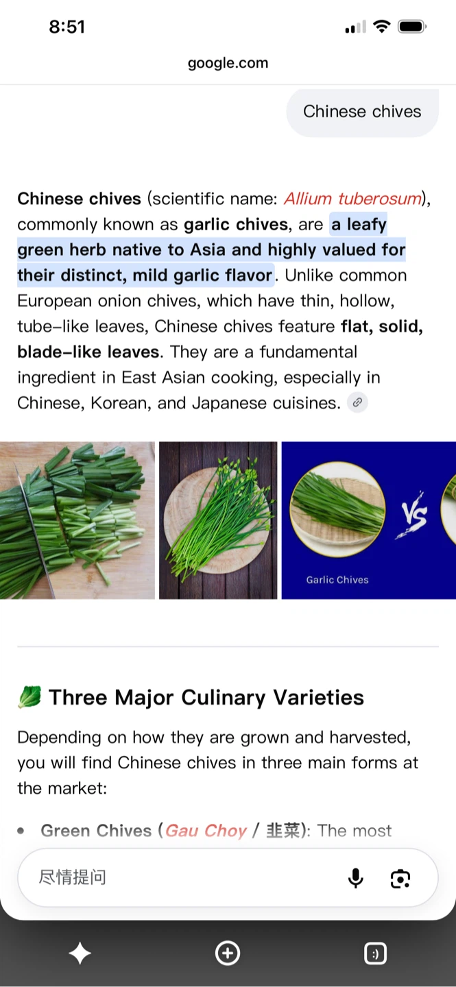 Chinese Chives / Garlic Chives