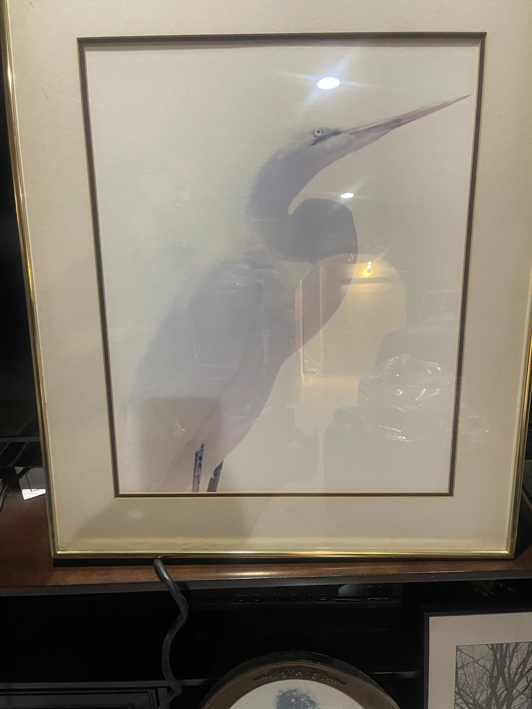 Framed Art Print of a Heron