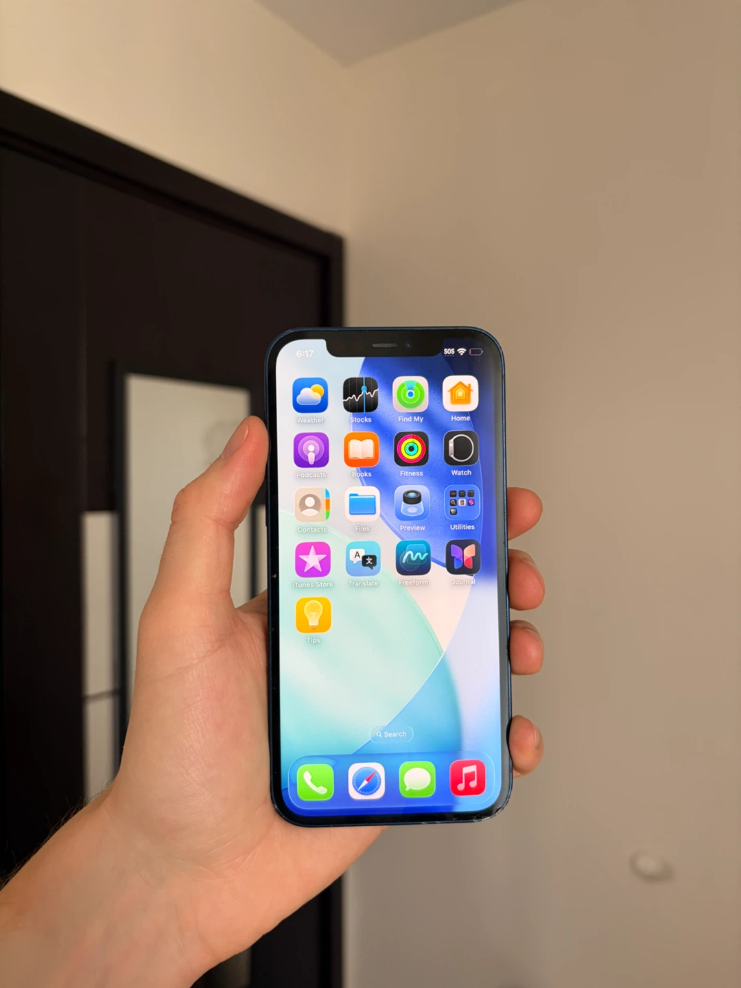 Apple iPhone 12 - Blue / 64GB / Unlock