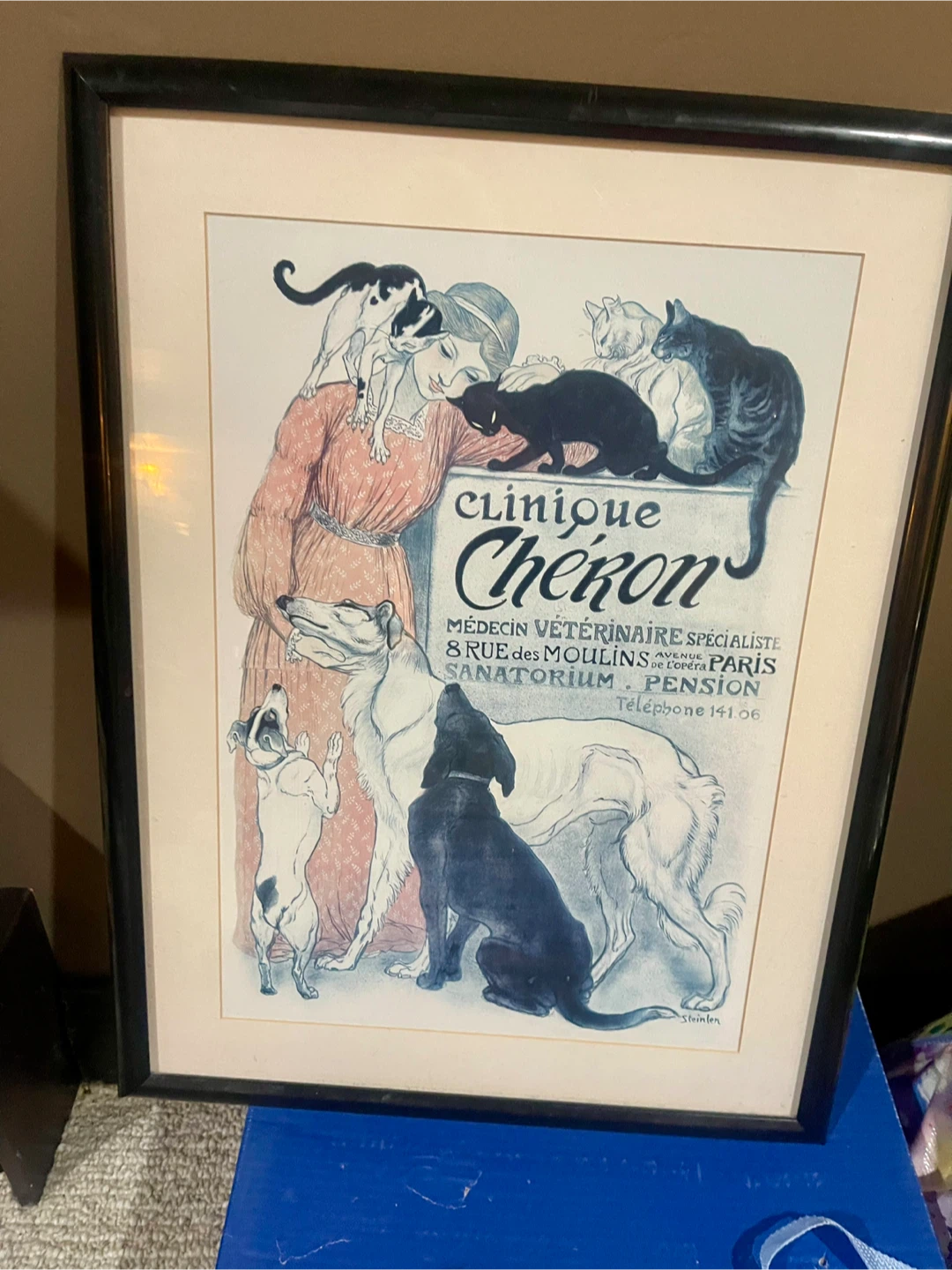 Clinique Cheron Veterinary Art Print