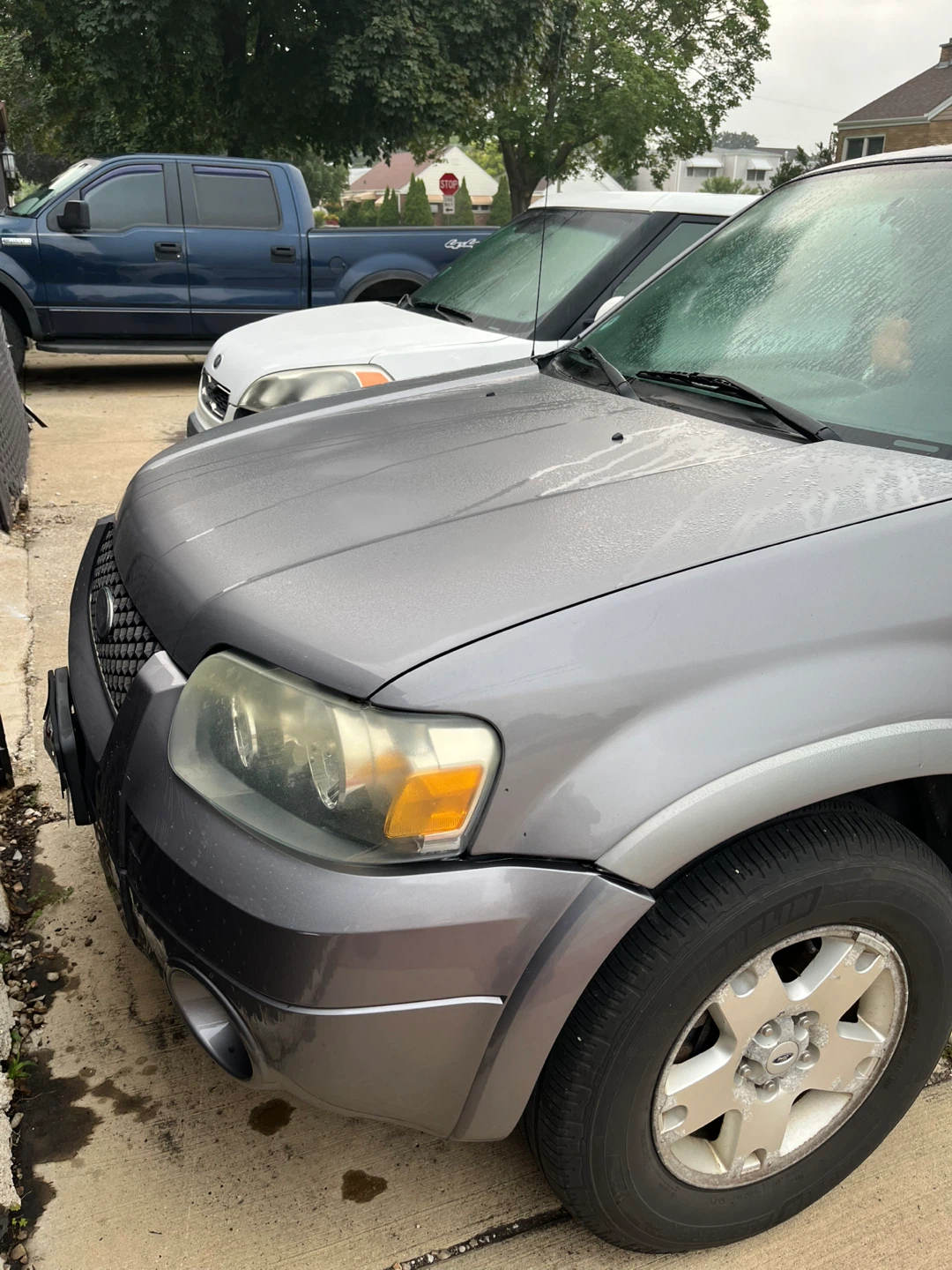 2006 Ford Escape Limited SUV - photo 5