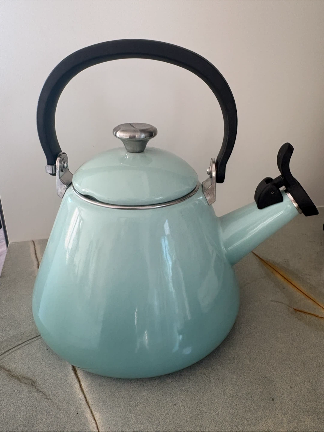 Le Creuset Sage Tea Kettle