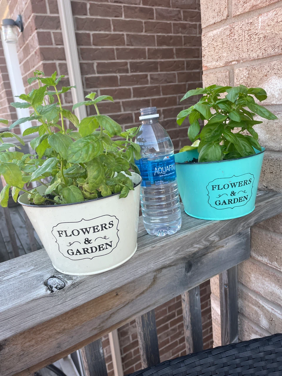 Set of 2 "Flowers & Garden" Planters with Herbs - photo 5