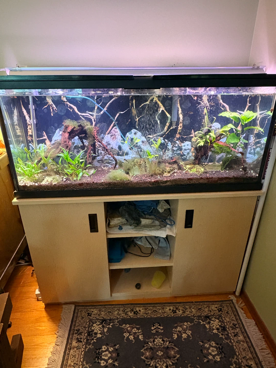 55 gallon Aquarium & Stand