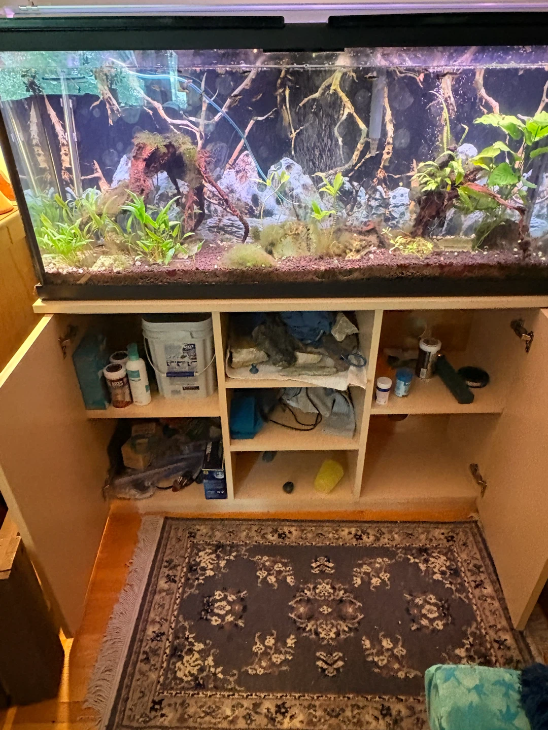 55 gallon Aquarium & Stand - photo 2