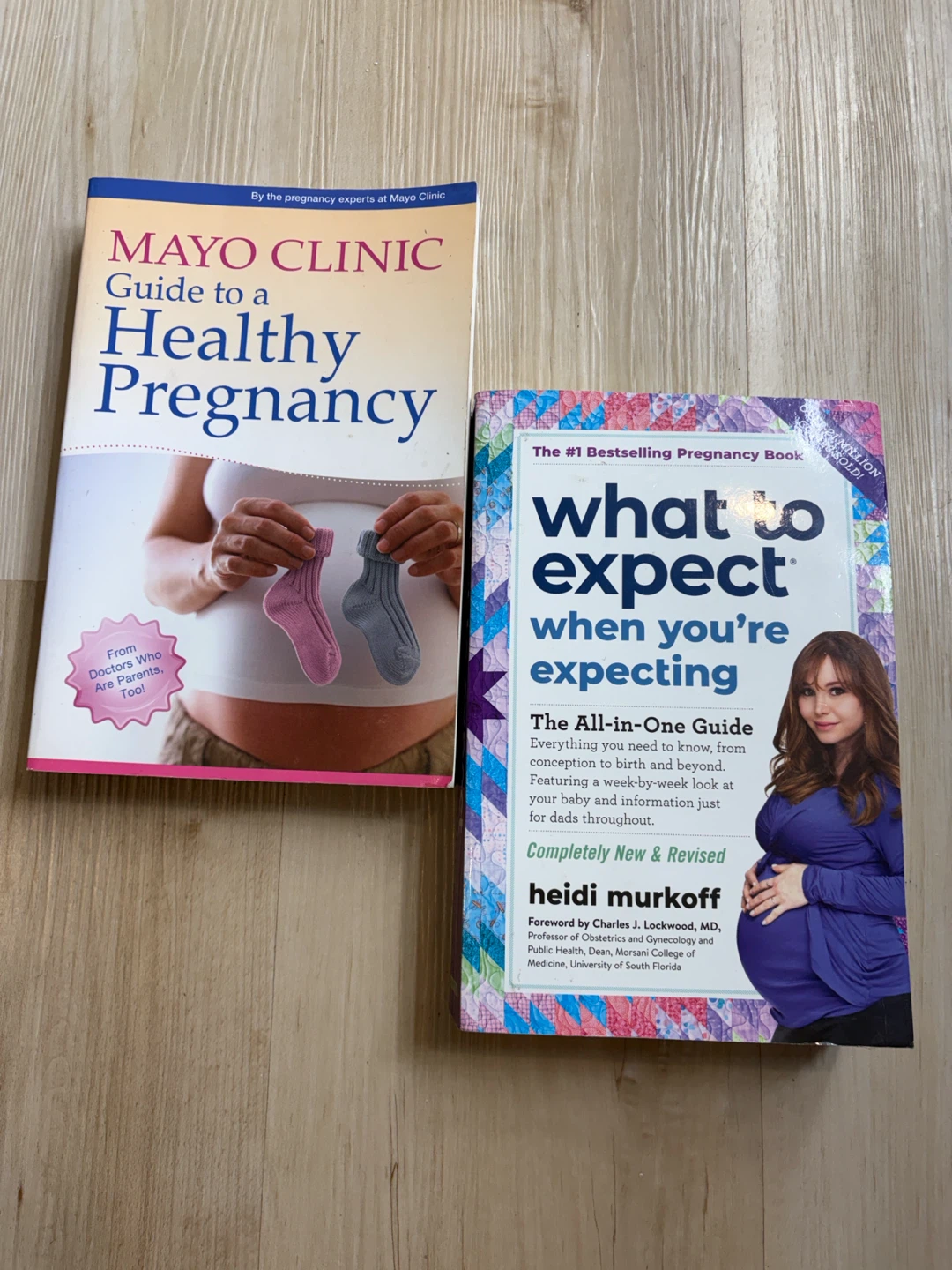 Set of Two Pregnancy Books