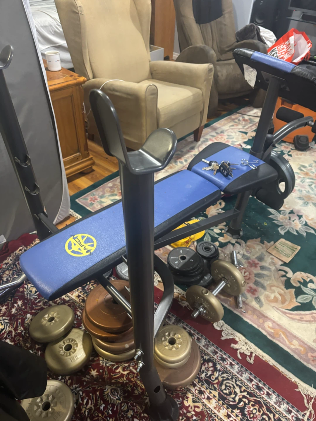 Weight bench and weight s and bars