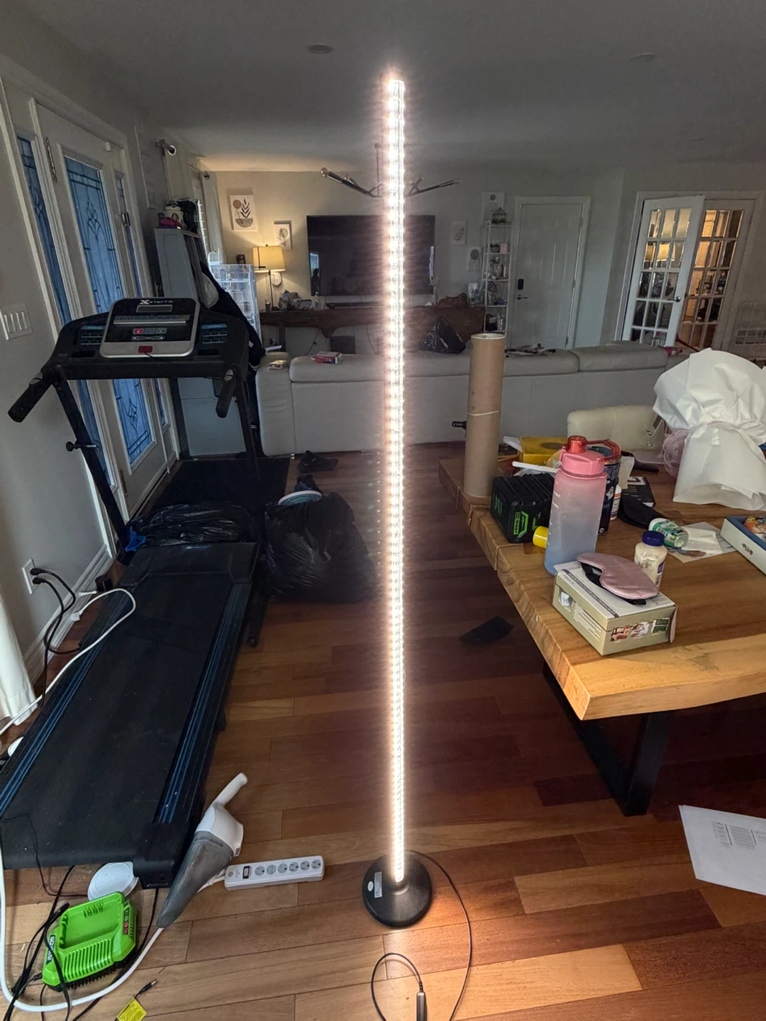 LED Floor Lamp
