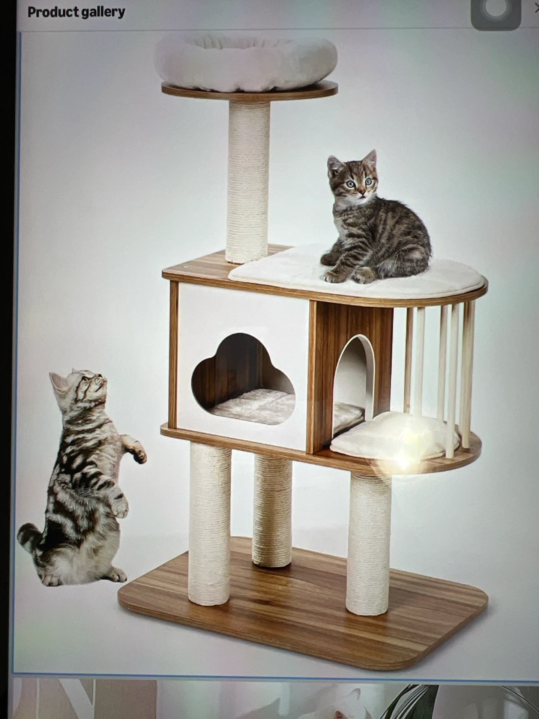 Modern Multi Cat Tree Condo