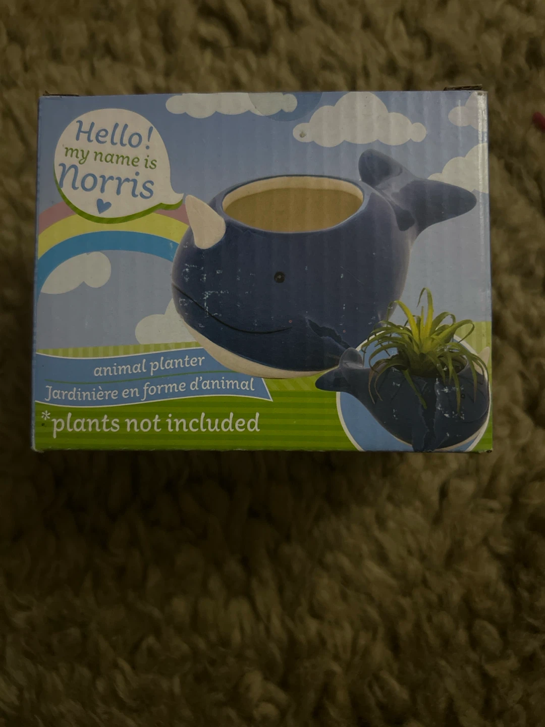 Norris the Whale Animal Planter