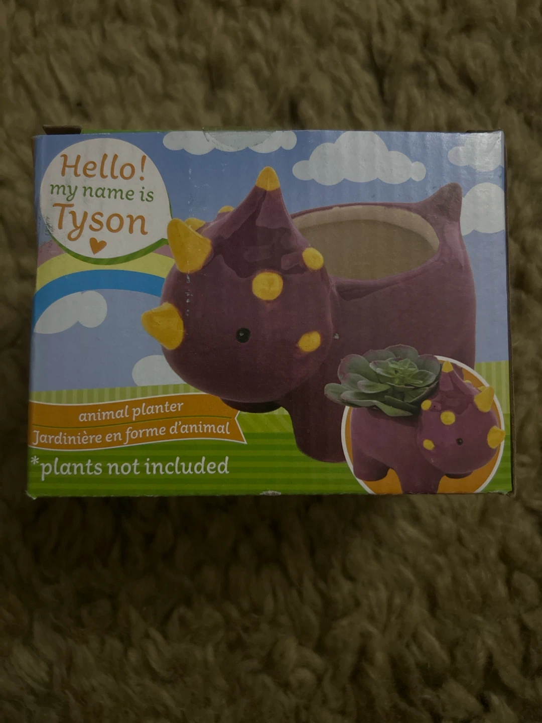 Hello! My Name is Tyson Animal Planter