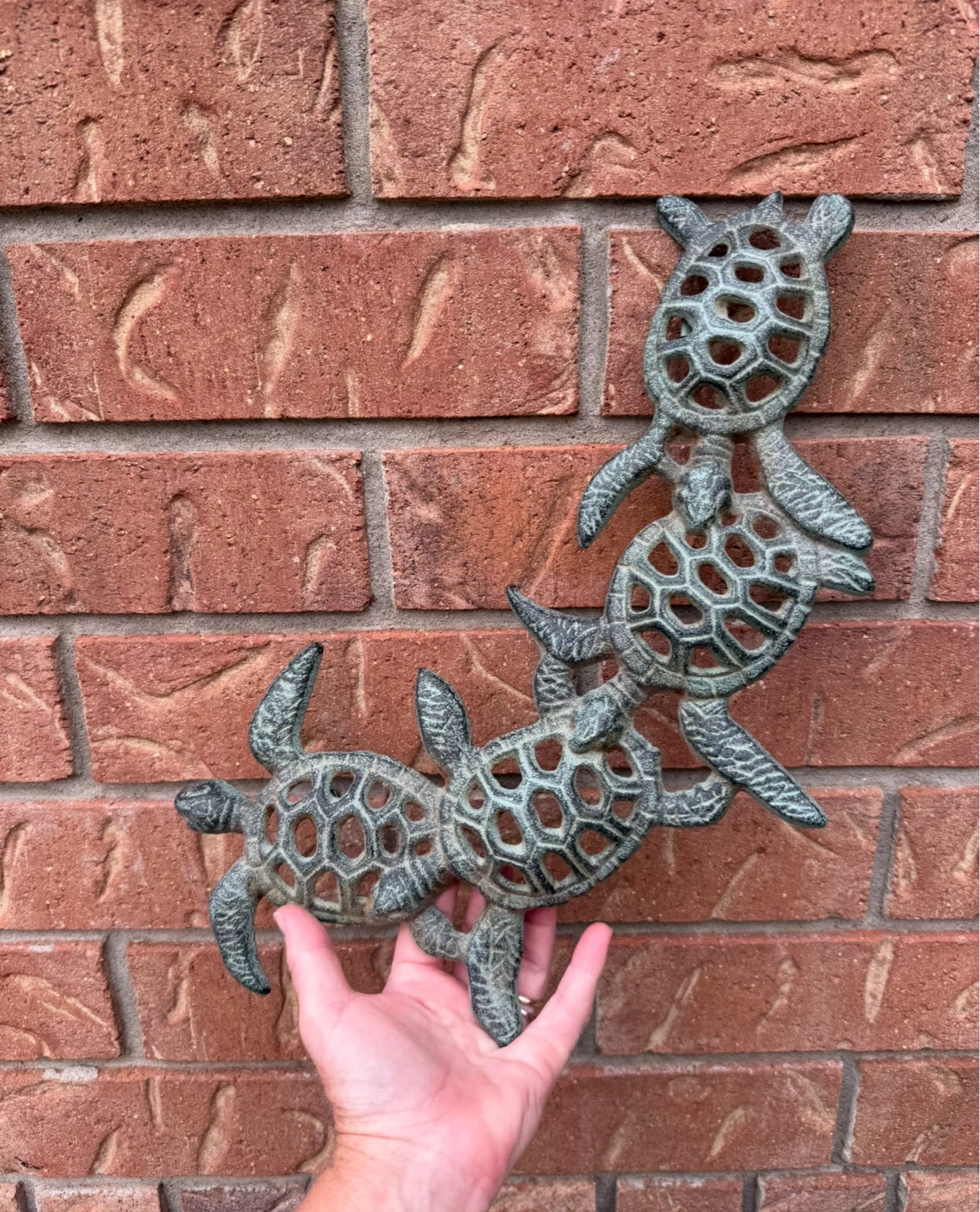 Decorative Turtle Wall Art