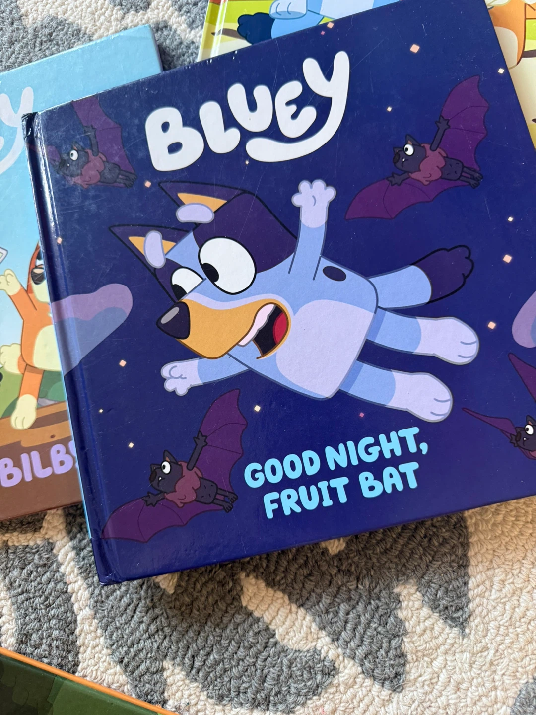 Bluey Books and Toys Set - photo 5