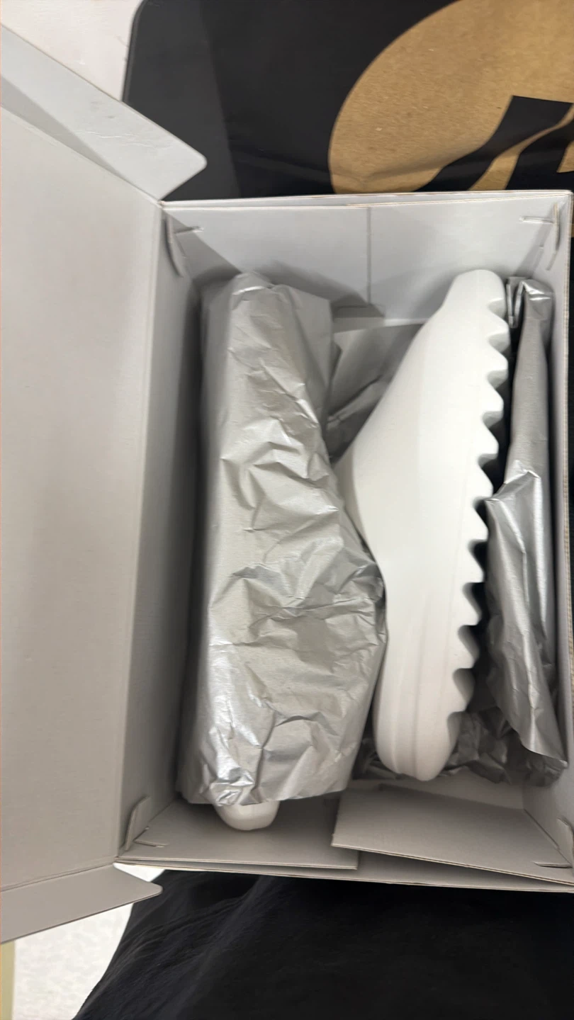 YS-01 Slides