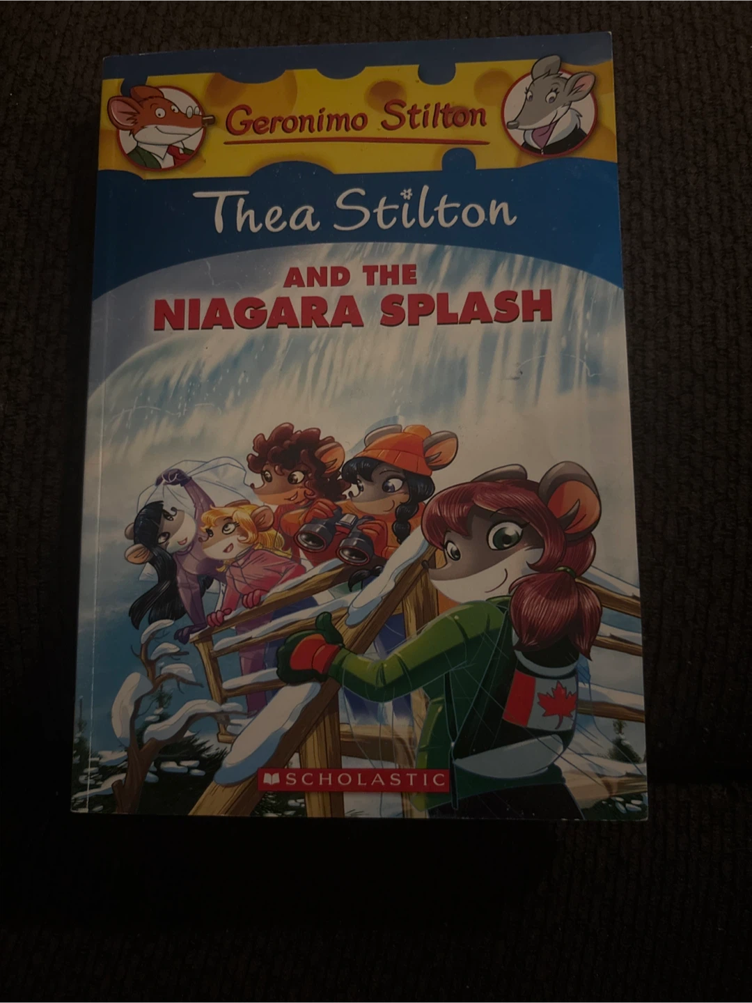 Thea Stilton and the Niagara Splash Book
