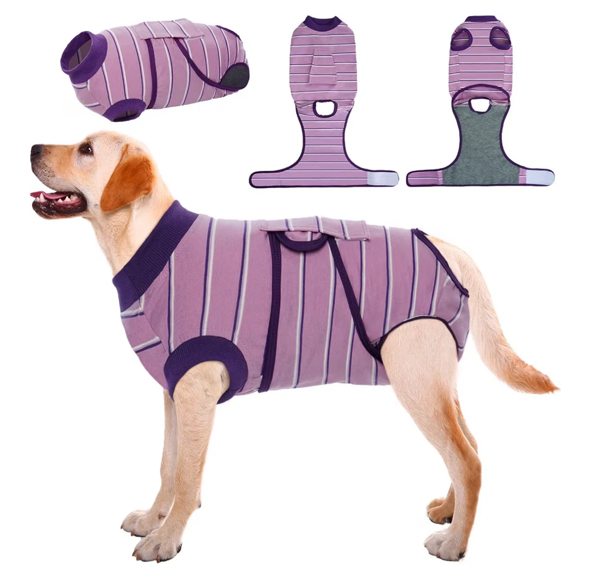 KuoSer Dog Recovery Suit - Purple Striped XL