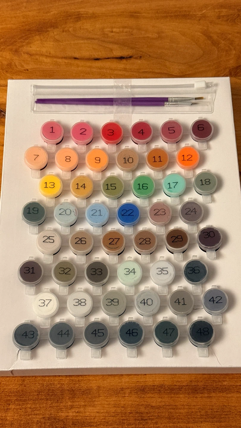 Paint by Number Kit - 48 Colors