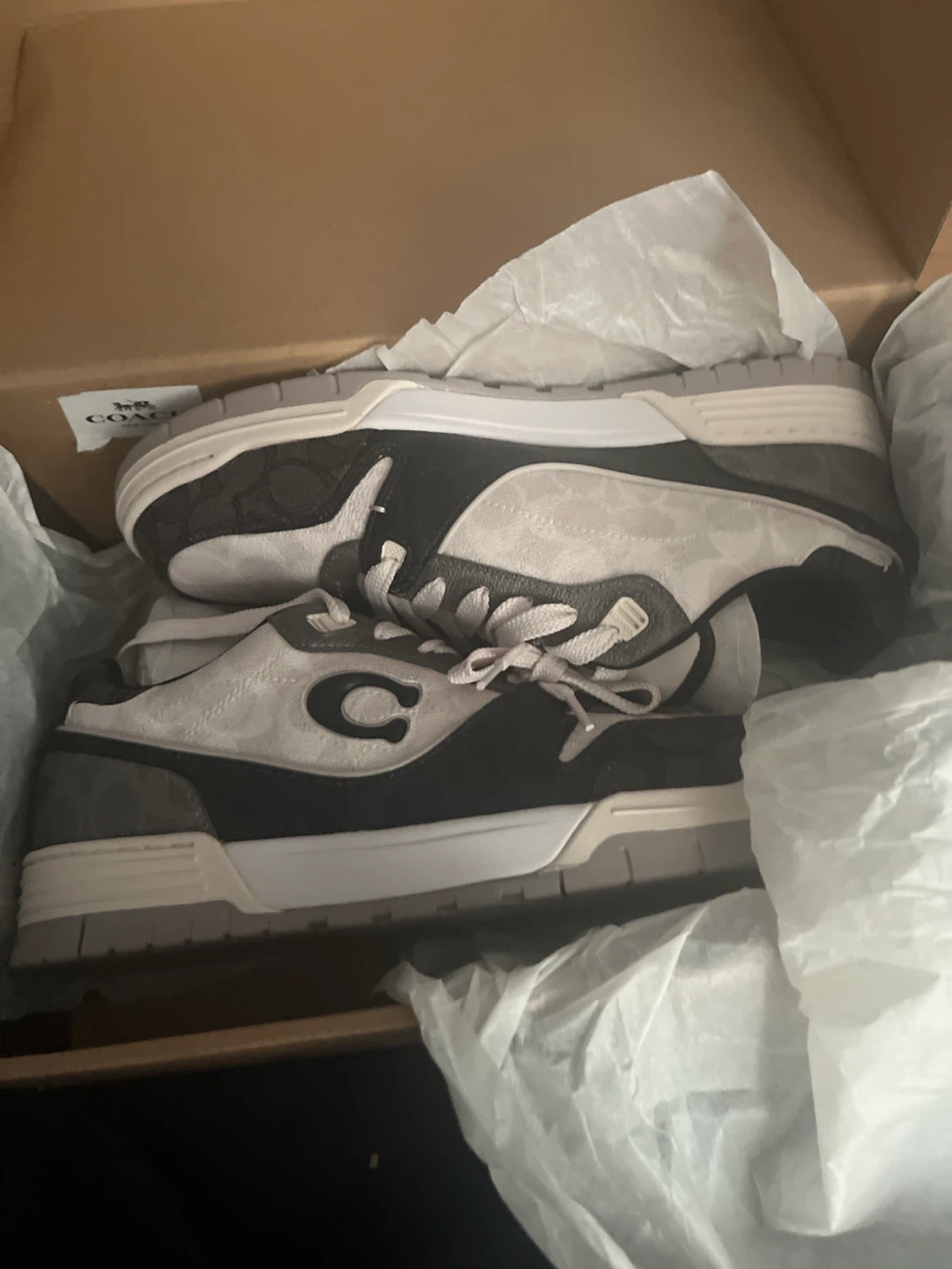 Coach Sneakers