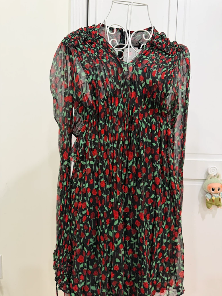 Floral chiffon mini  Dress