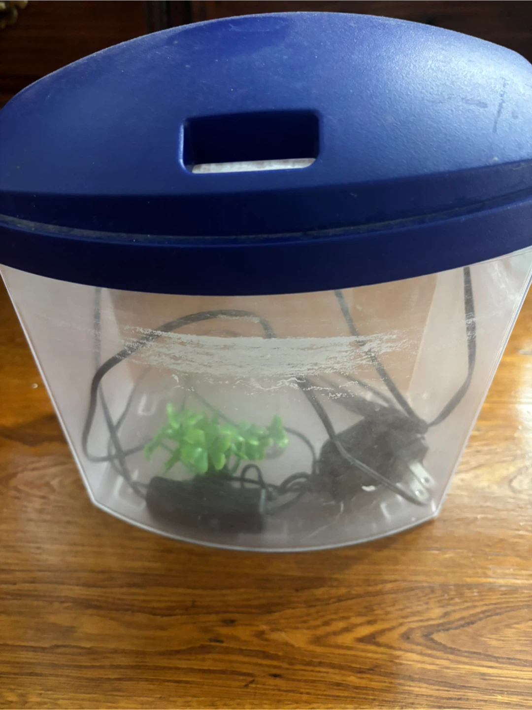 Small betta fish tank for sale