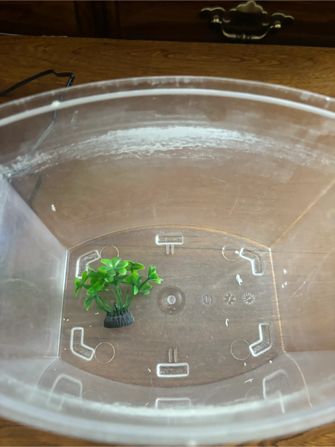 Small betta fish tank for sale - photo 2