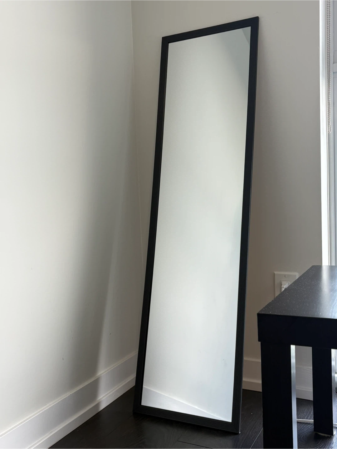 Black Full Length Standing Mirror