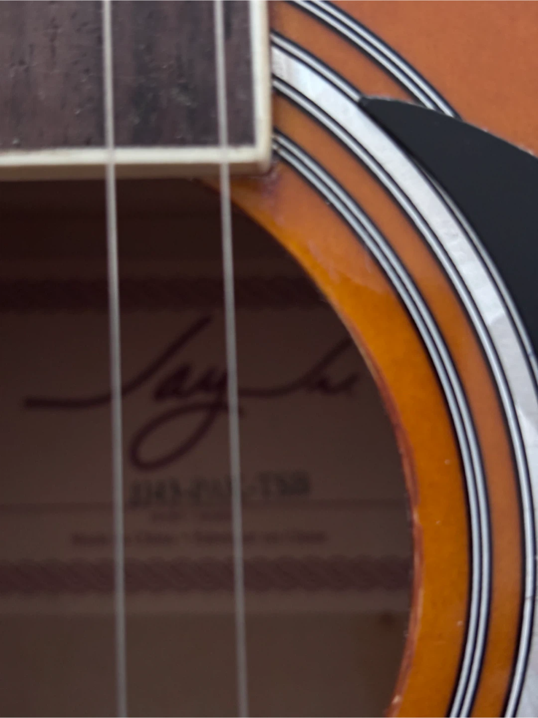 Jay Turser JD45-TSB Acoustic Guitar - photo 2