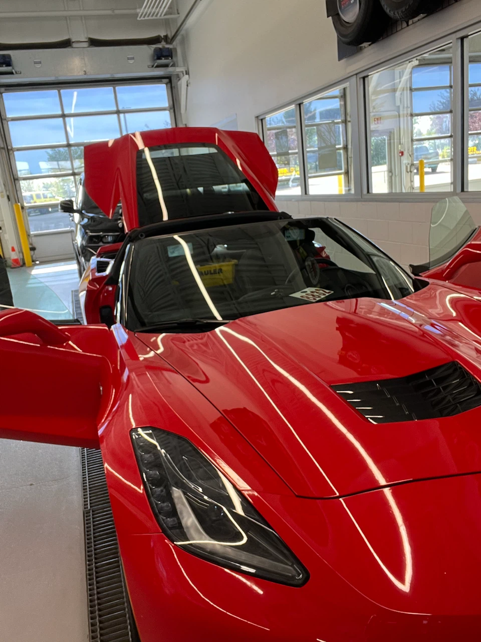 Corvette - photo 5