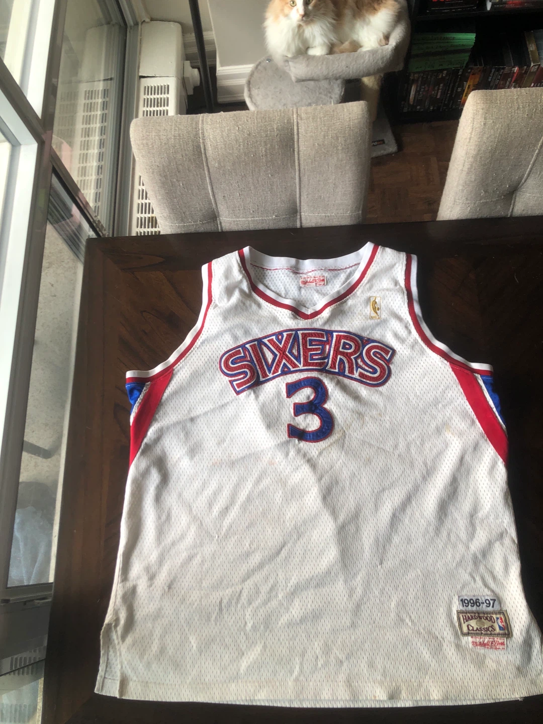 Alan Iverson Jersey