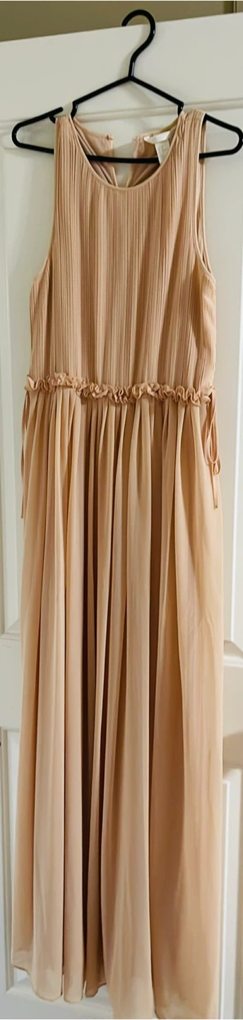 H&M Pleated Chiffon Dress
