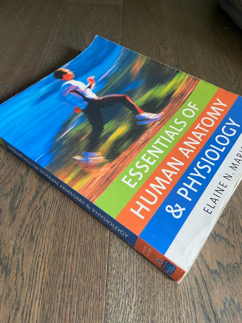 Essentials of Human Anatomy & Physiology by Elaine N. Marieb - photo 3