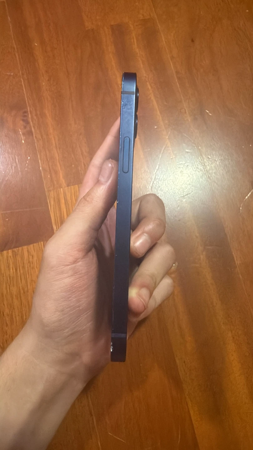 Apple iPhone 12 Blue - photo 4