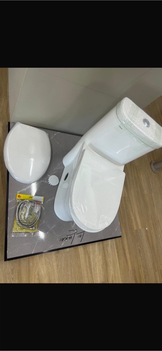 Le Luxe Siphonic One-Piece Toilet - photo 4