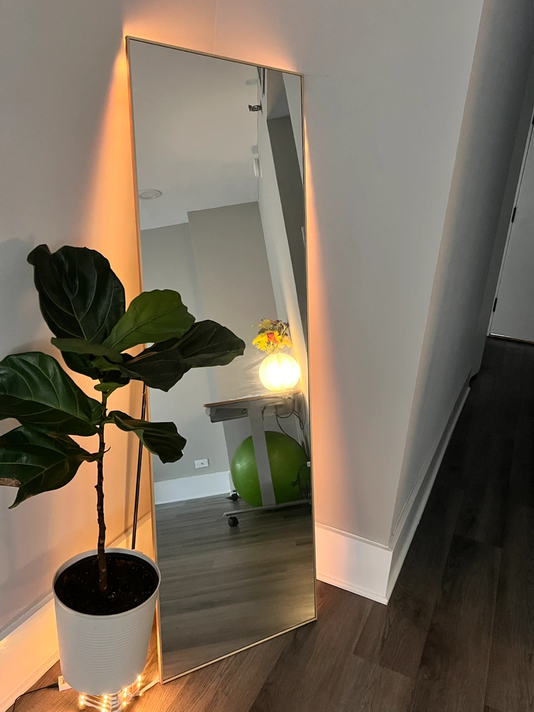 Full Length Mirror with LED Lighting