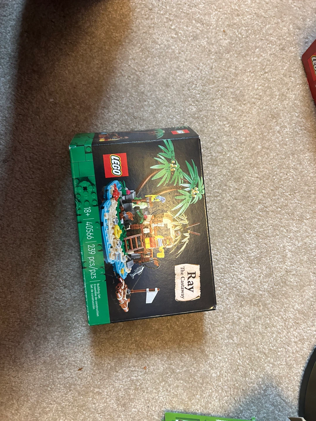 LEGO 40566 Ray The Castaway Building Set