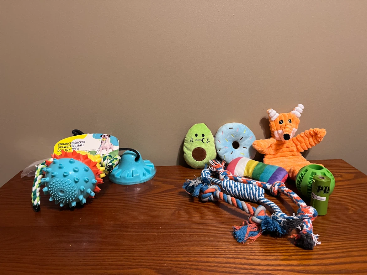 DOG TOY BUNDLE & SUCKER TOY