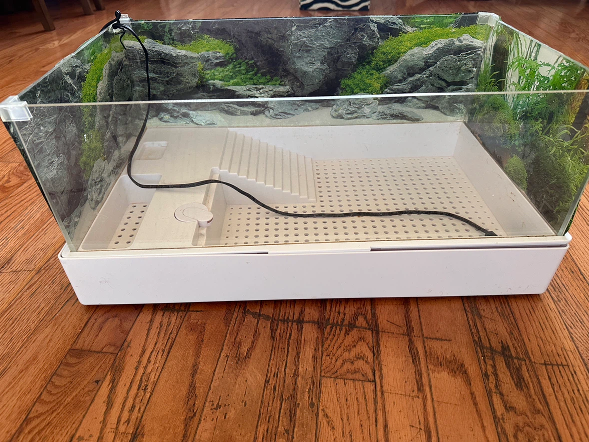 Small reptile aquarium