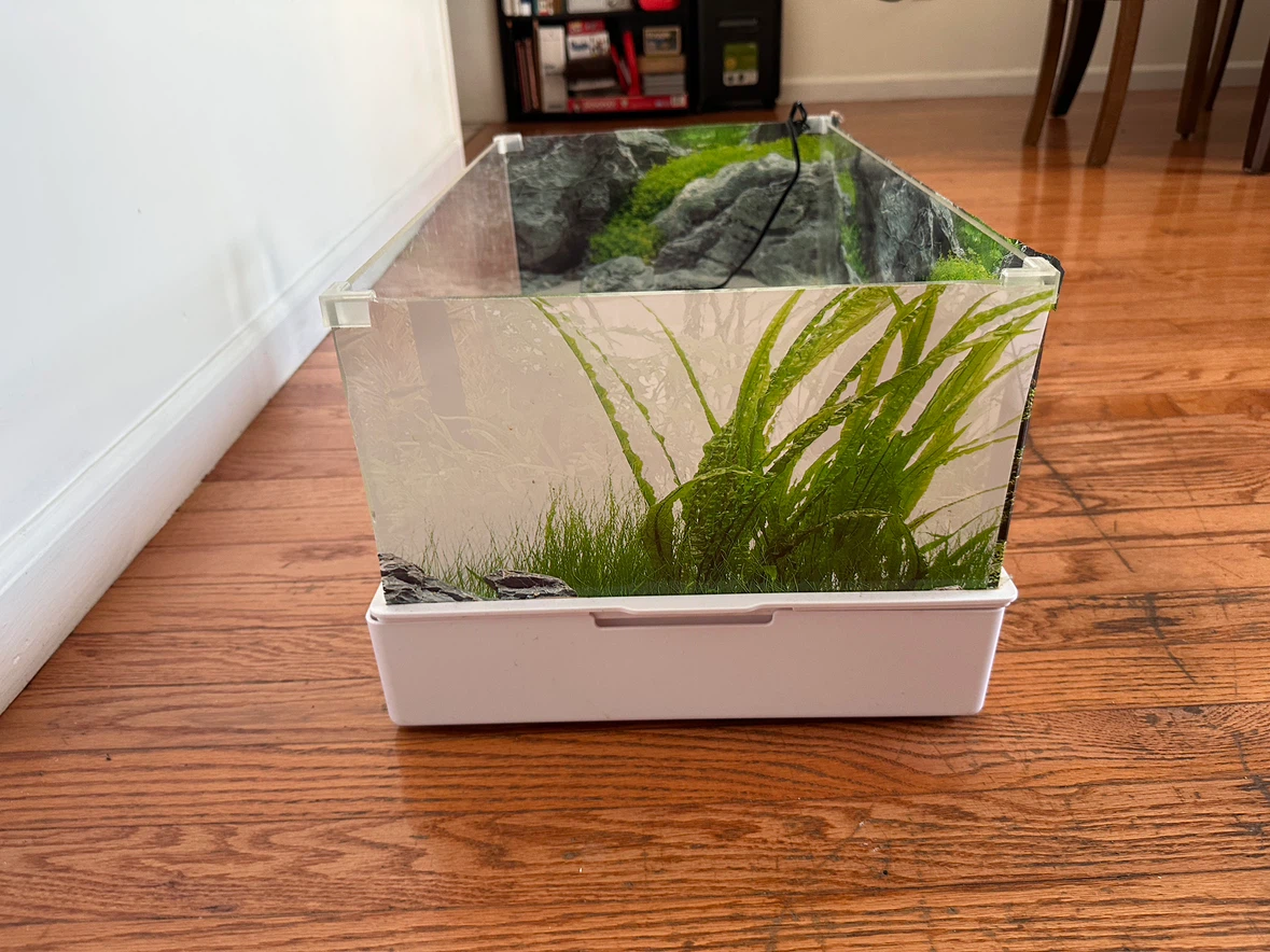 Small reptile aquarium - photo 2