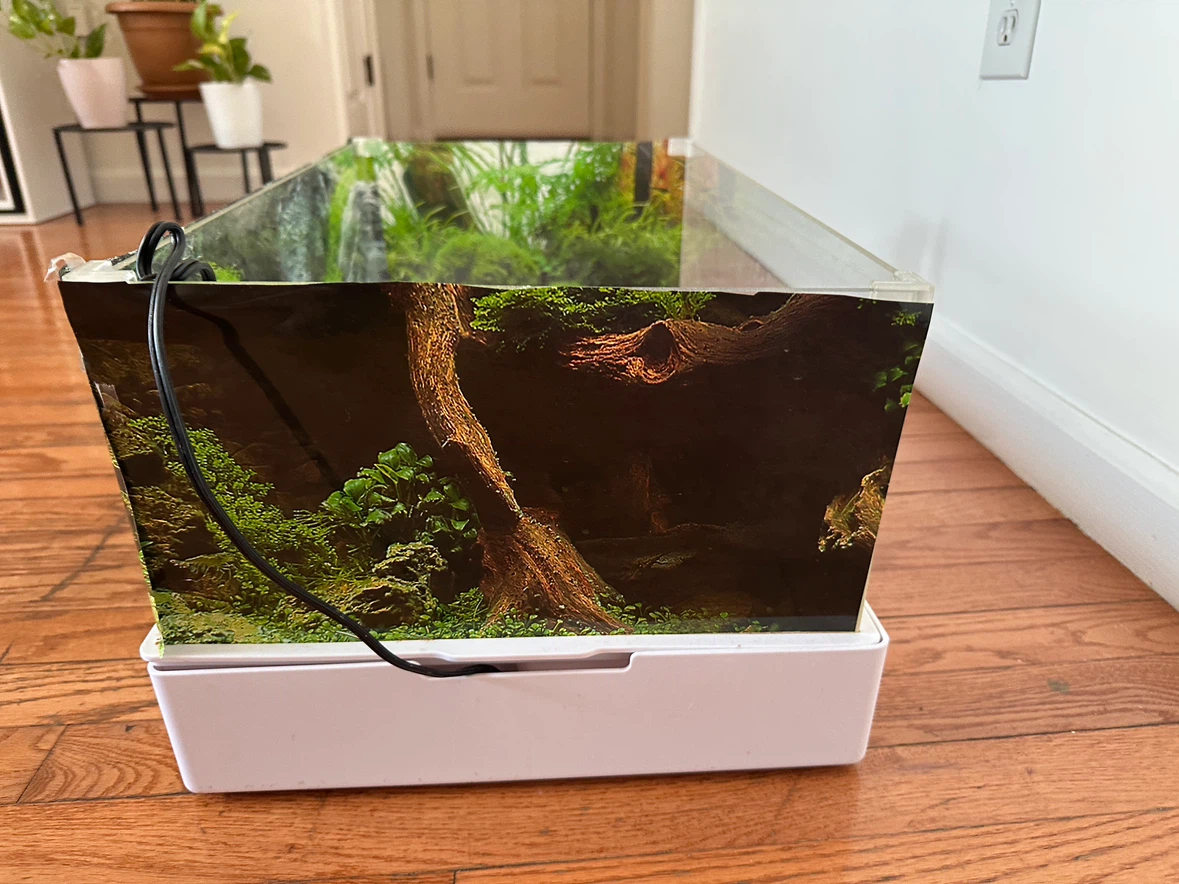 Small reptile aquarium - photo 4