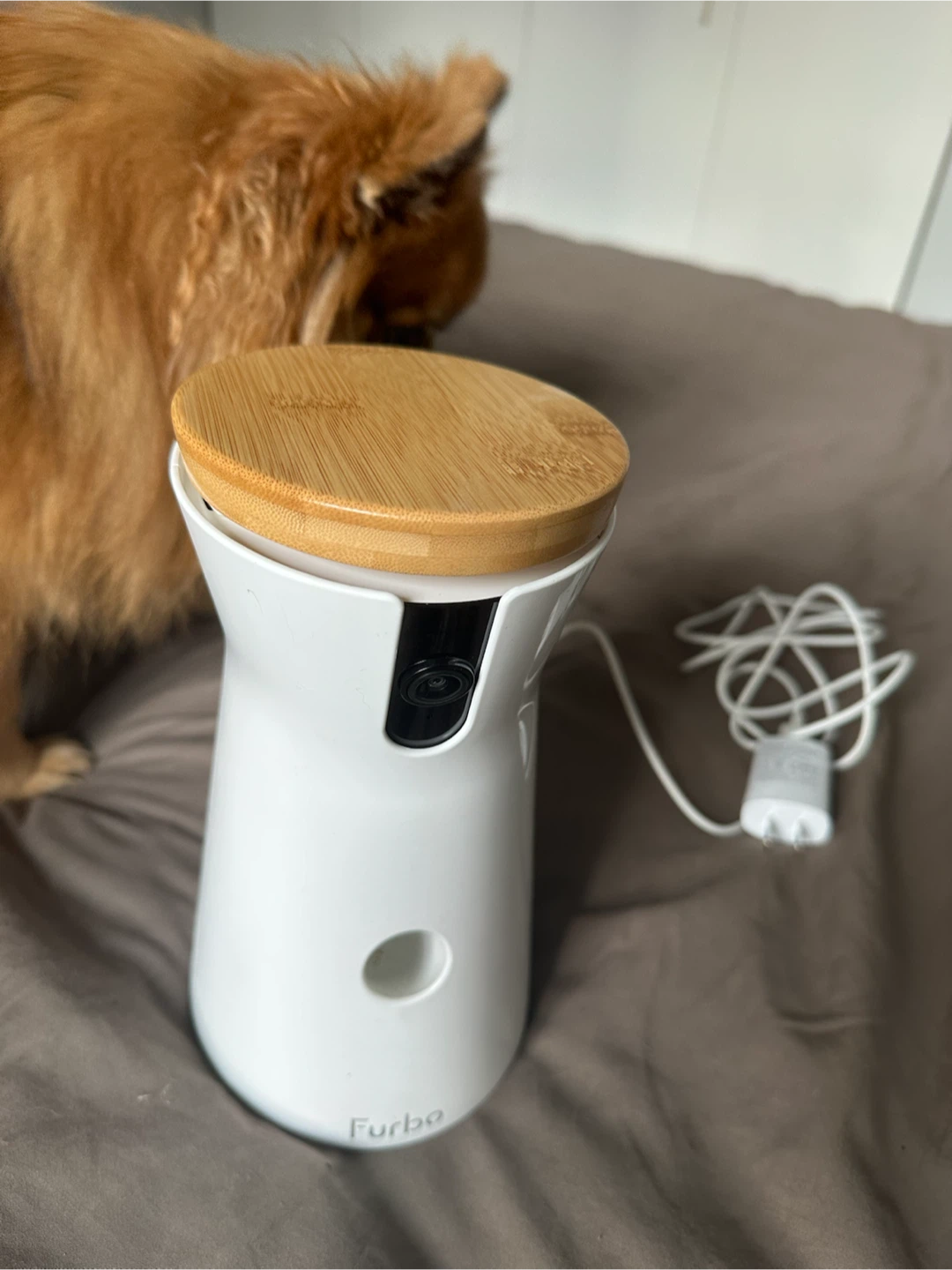 Furbo Dog Camera Treat Tossing - photo 2