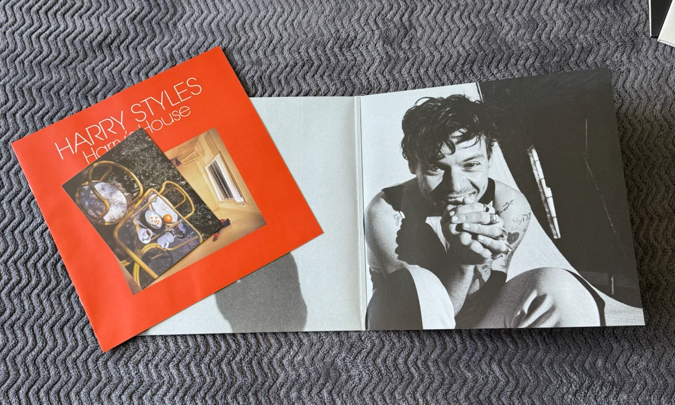 Vinyl Records (Ariana Grande, Harry Styles, Vance Joy) - photo 3